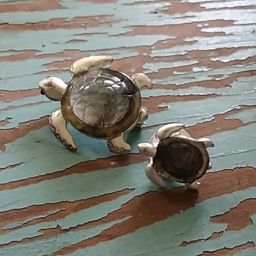2 Vintage Turtles